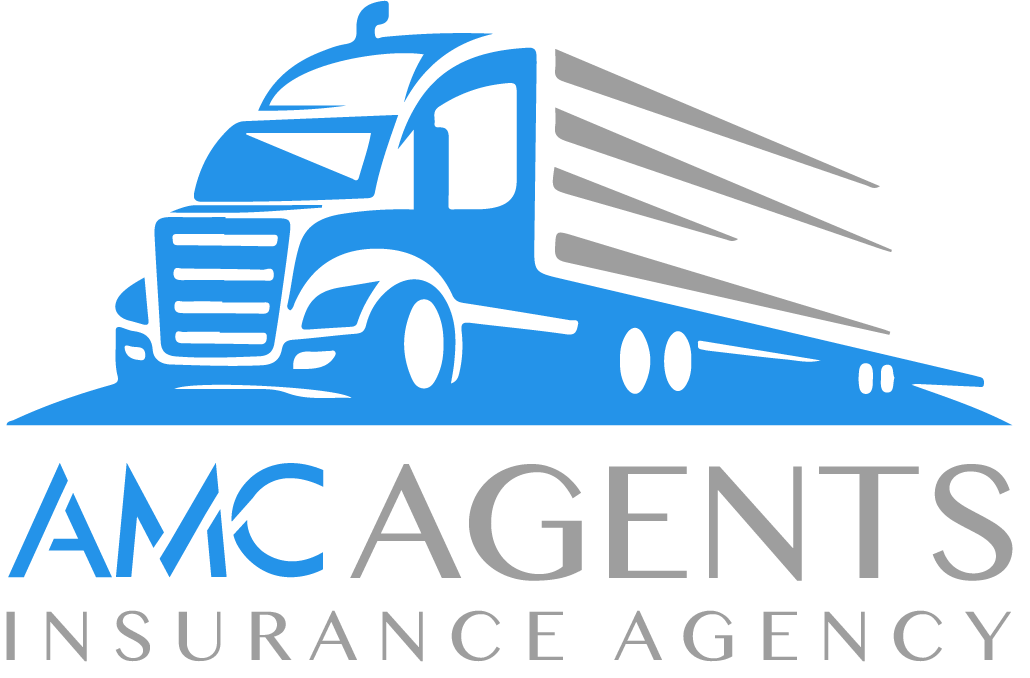 AMC AGENTS LLC